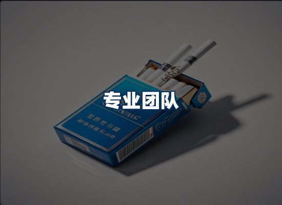 专业团队